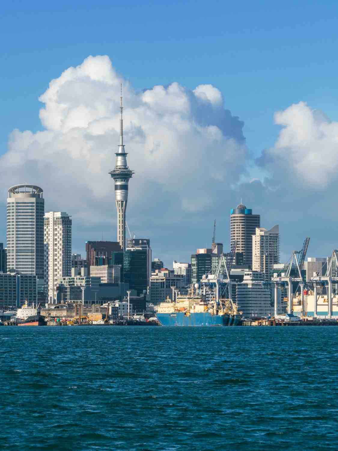 Study in New Zealand